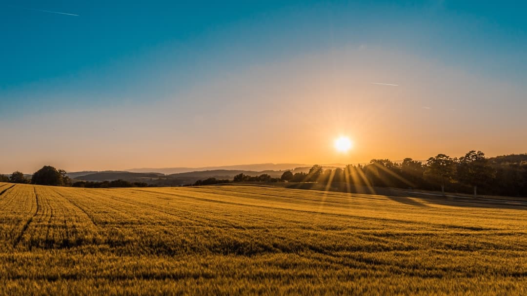 Wind turbines in a field, representing technology in agriculture.